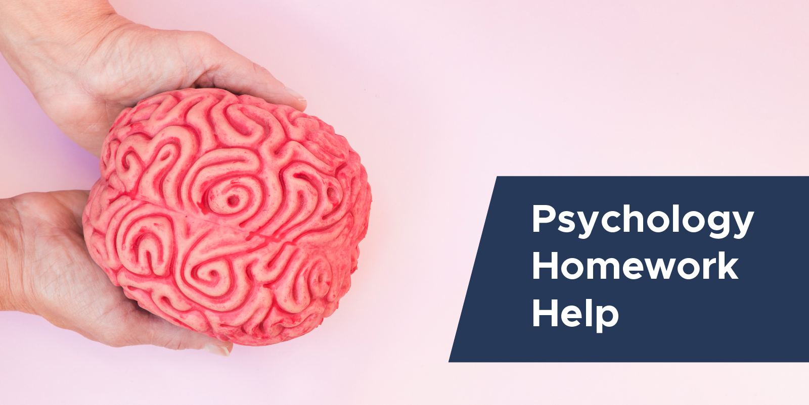 Psychology Homework Help